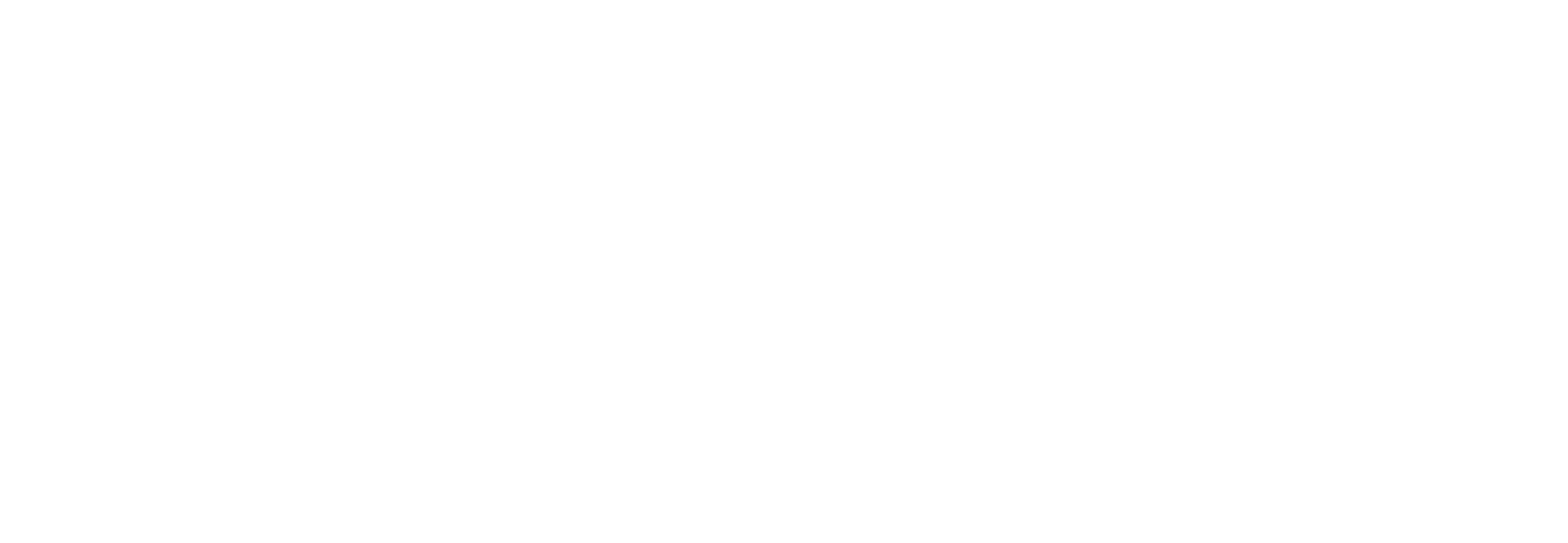 riste_logo_hd_blanc